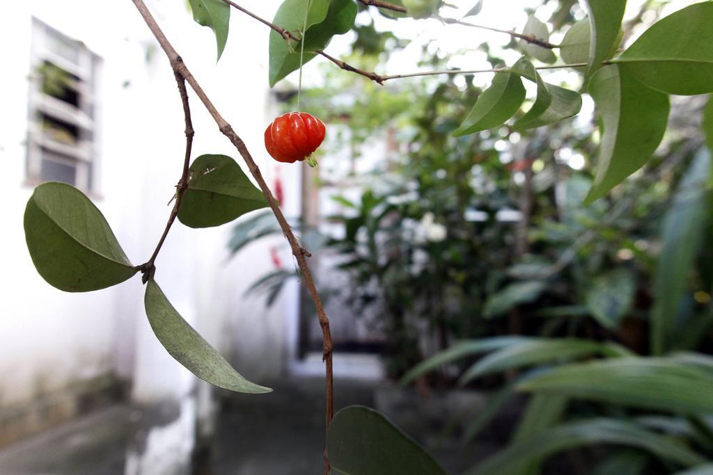 Casa Em Meio A Natureza - Ideal Para Casal Rio de Janeiro Exteriér fotografie